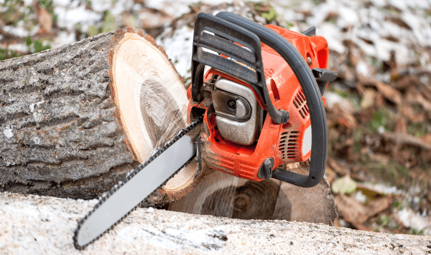 TREE REMOVAL